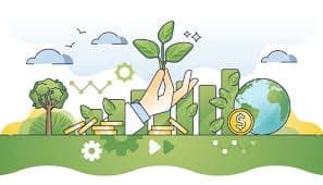 Biaya Hijau yang Tak Terelakkan: Mengapa Transisi Ekologi Justru Membuat Belanja Bulanan Kita Semakin Berat?