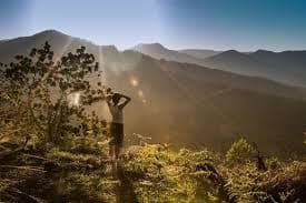 Melarikan Diri dari Layar: Bagaimana Wisata Tanpa Teknologi Menjadi Jawaban Atas Krisis Perhatian Modern