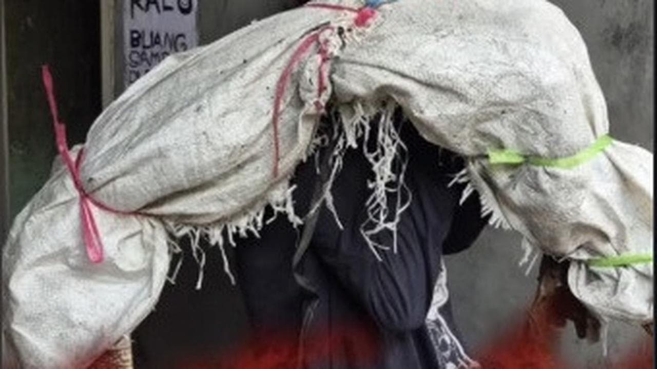 Dari Karung Misterius ke Hewan Peliharaan: Kisah Unik Pengamen dan Biawak yang Mengguncang Tambora