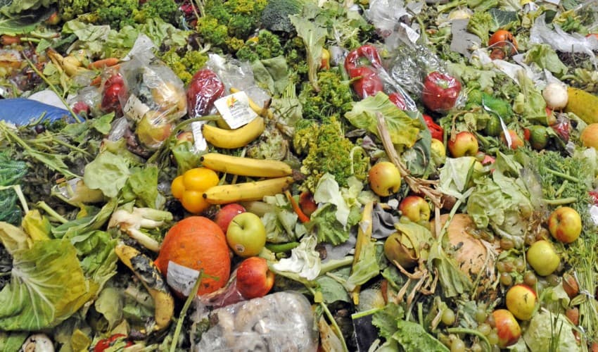 Mengurai Jejak Karbon di Balik Kebiasaan Belanja Kita: Dari Keranjang ke Tempat Sampah