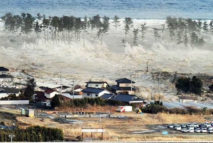 Saat Sirine Tsunami Berbunyi: Bukan Waktunya Panik, Ini Langkah Nyata yang Harus Anda Ambil