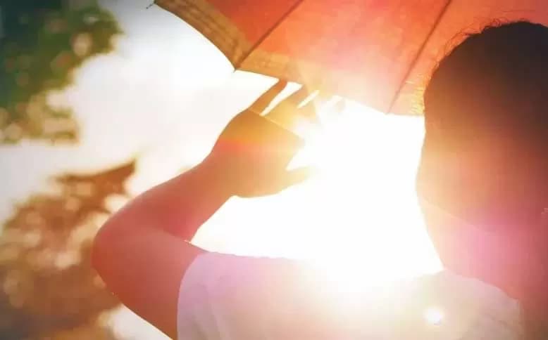 Ketika Bumi Terasa Seperti Oven: Implikasi Nyata Gelombang Panas Global yang Mengubah Kehidupan